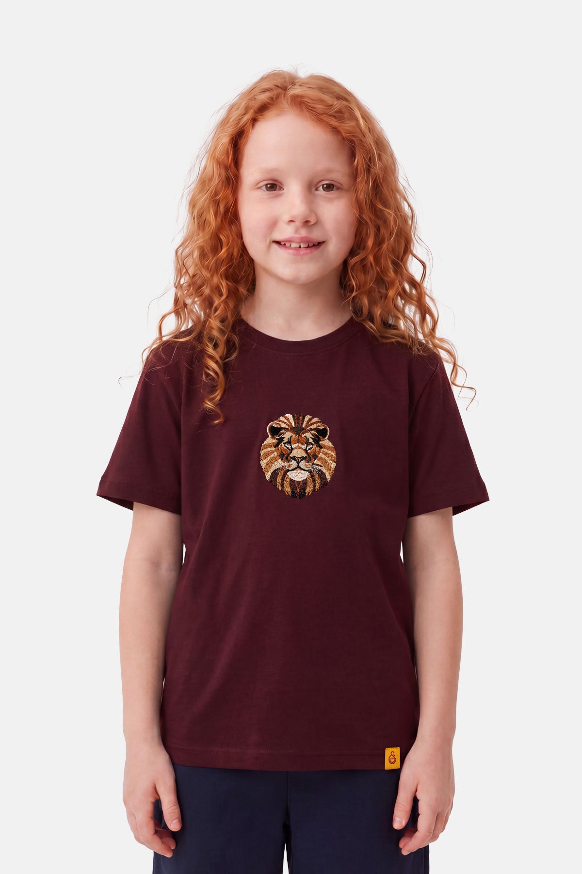 Aslan Premium Çocuk T-shirt - Bordo - Görsel 4