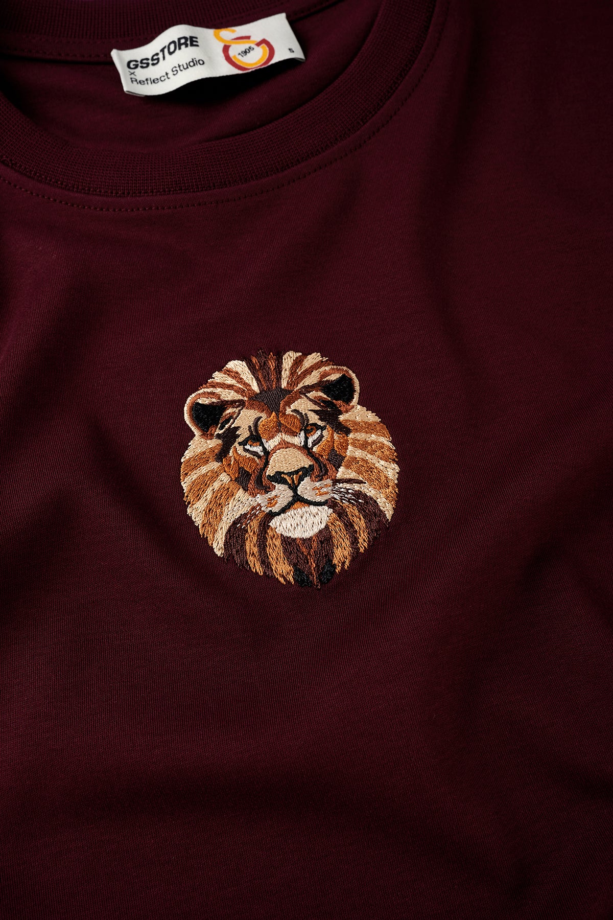 Aslan Premium Çocuk T-shirt - Bordo - Görsel 2