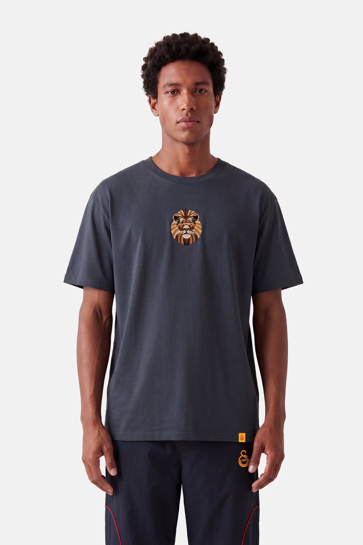 Aslan Premium T-shirt - Antrasit - Görsel 4