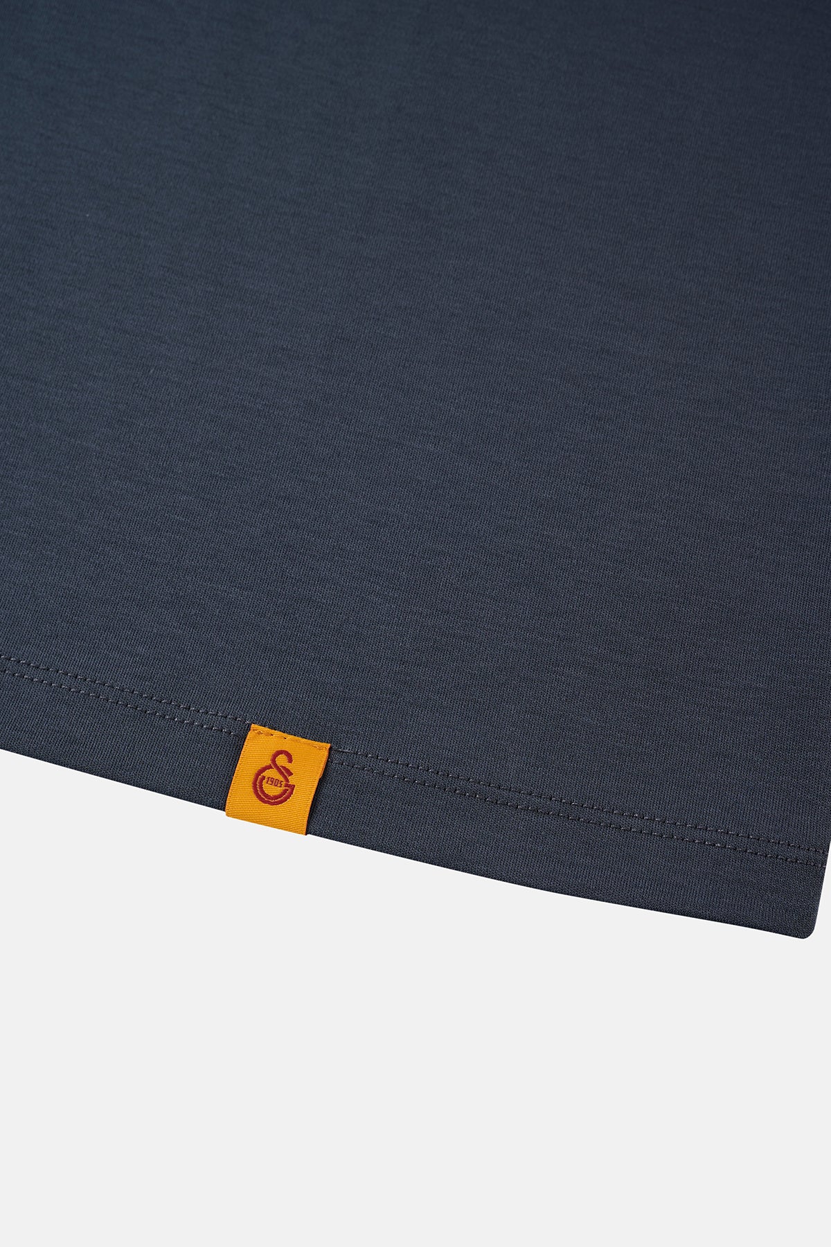 Aslan Premium T-shirt - Antrasit - Görsel 3