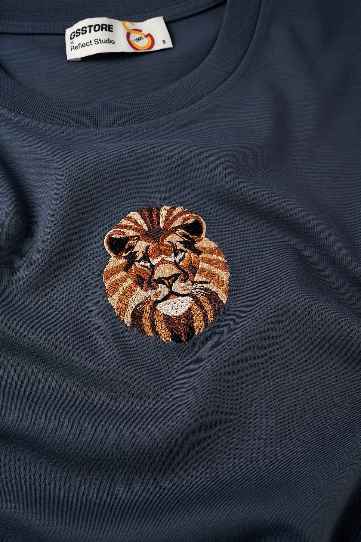 Aslan Premium T-shirt - Antrasit - Görsel 2