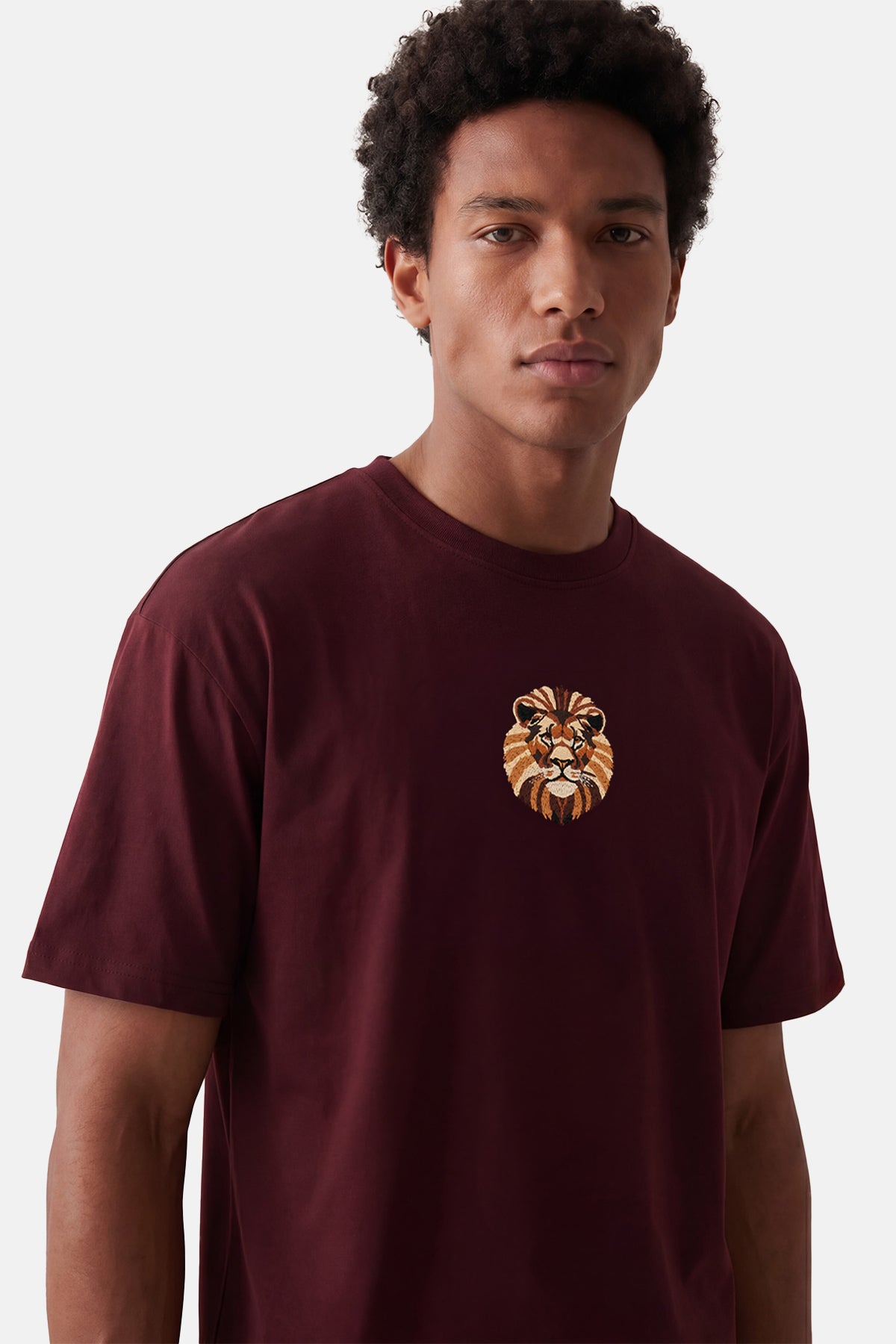 Aslan Premium T-shirt - Bordo - Görsel 4