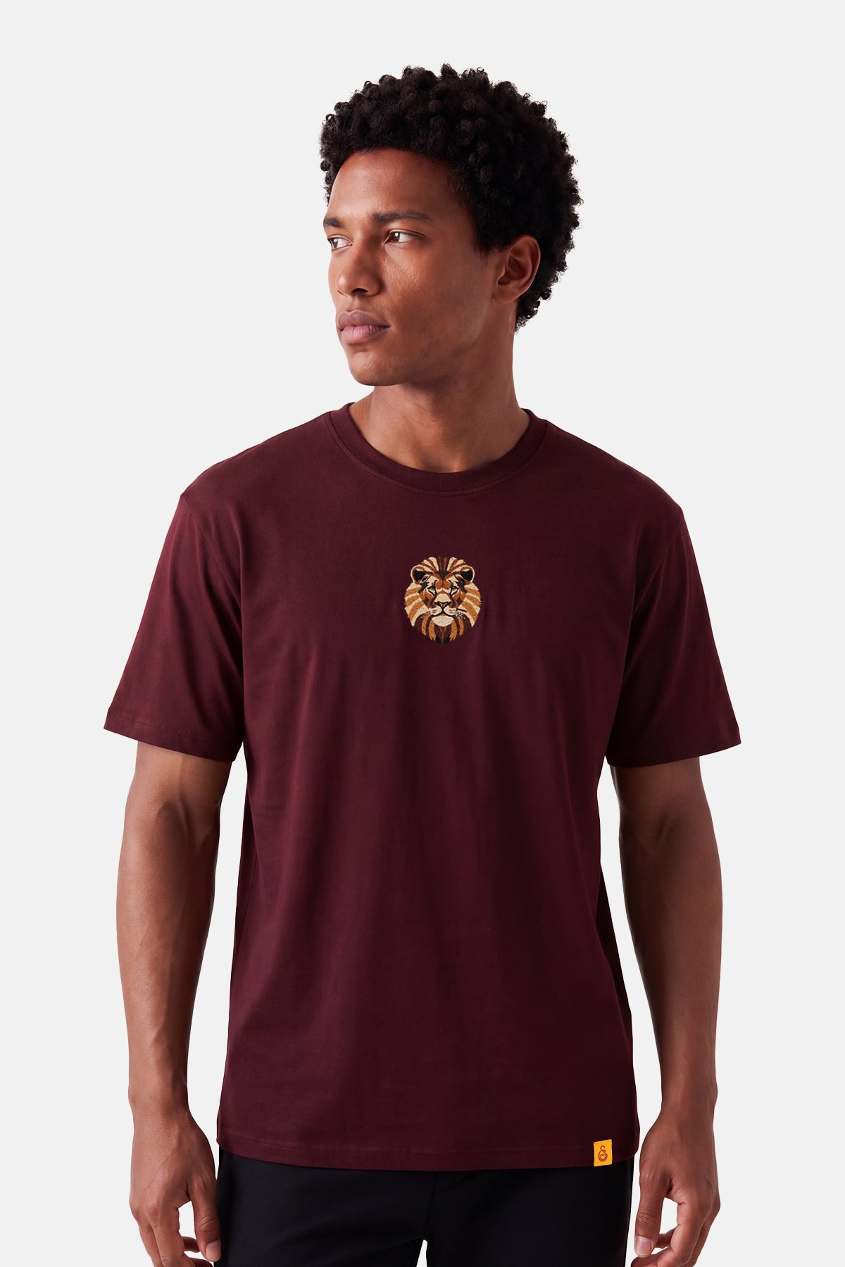 Aslan Premium T-shirt - Bordo - Görsel 5