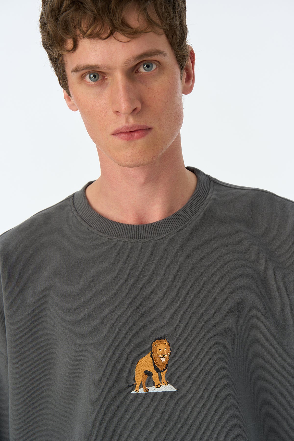 Aslan Oversize SuperSoft Sweatshirt - Antrasit - Görsel 4