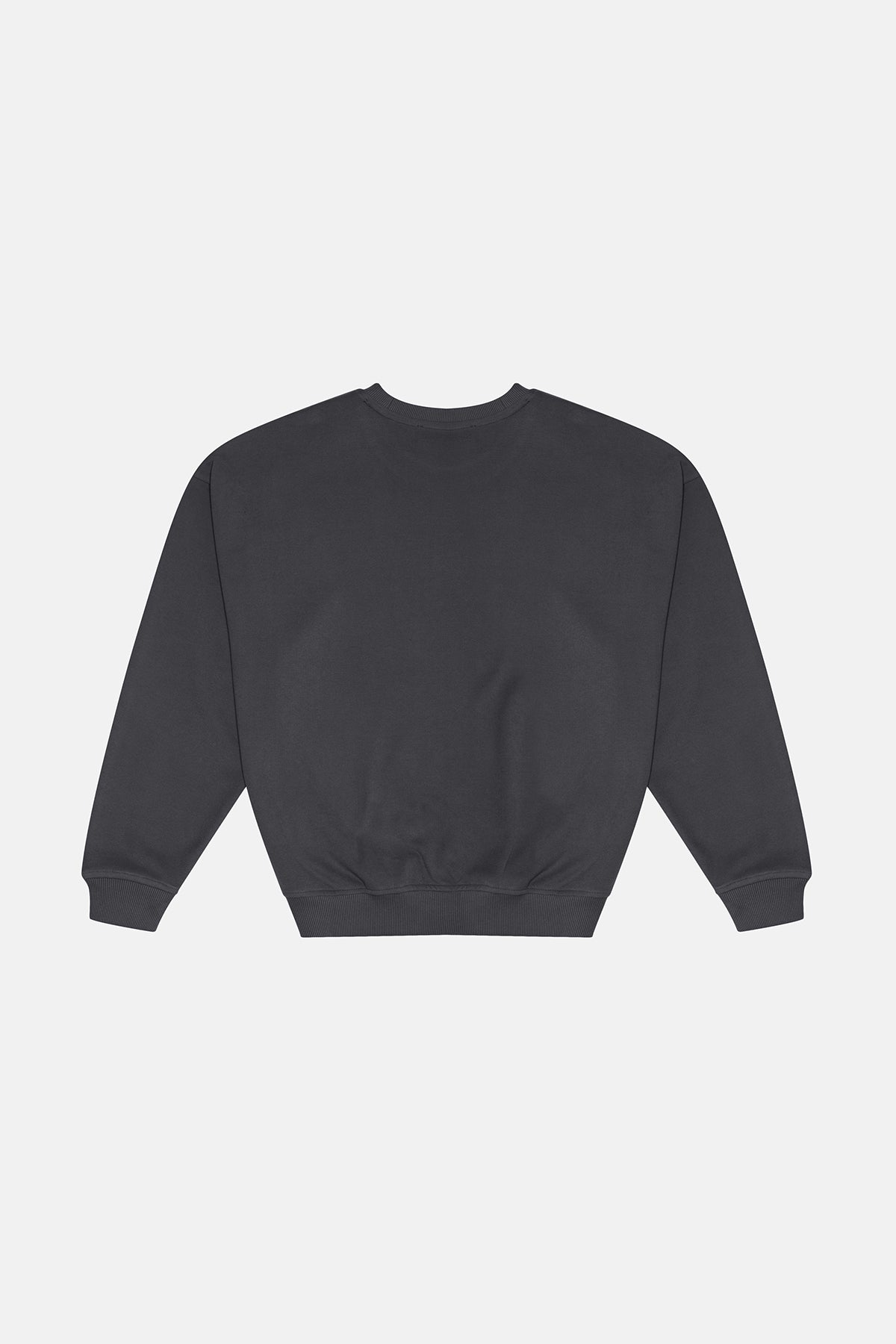 Aslan Oversize SuperSoft Sweatshirt - Antrasit - Görsel 3