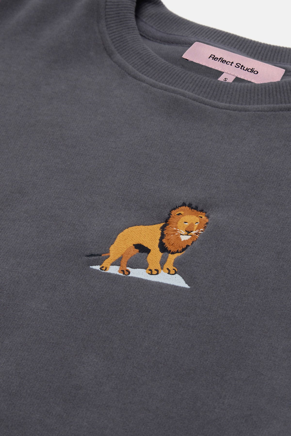 Aslan Oversize SuperSoft Sweatshirt - Antrasit - Görsel 2